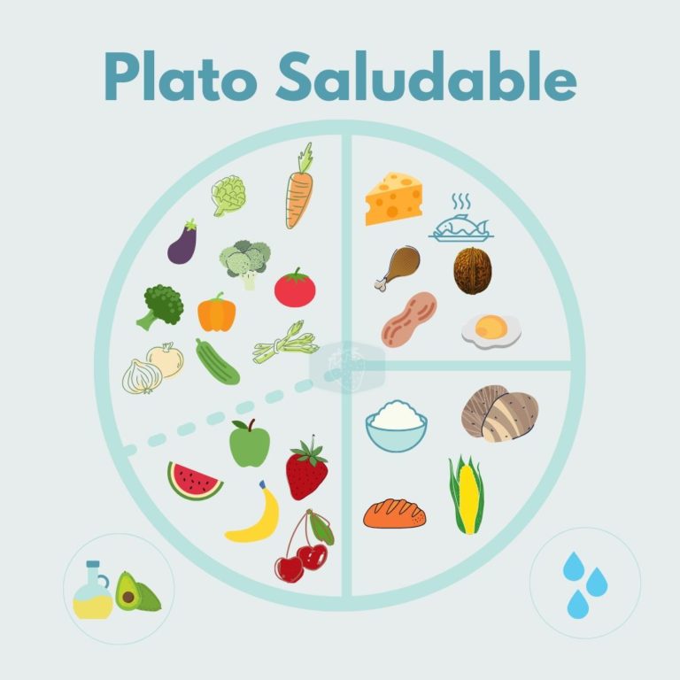 Aprende Elaborar Tu Propio Menú Saludable El Plato De Harvard 7192